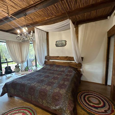 Chervona Kalyna Cottage 敖德萨 外观 照片